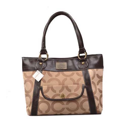 coach dog tote